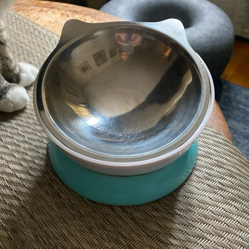 Stainless Steel Cat Ear Removable Bowl w/ Elevated Blue Base, Skid proof Design